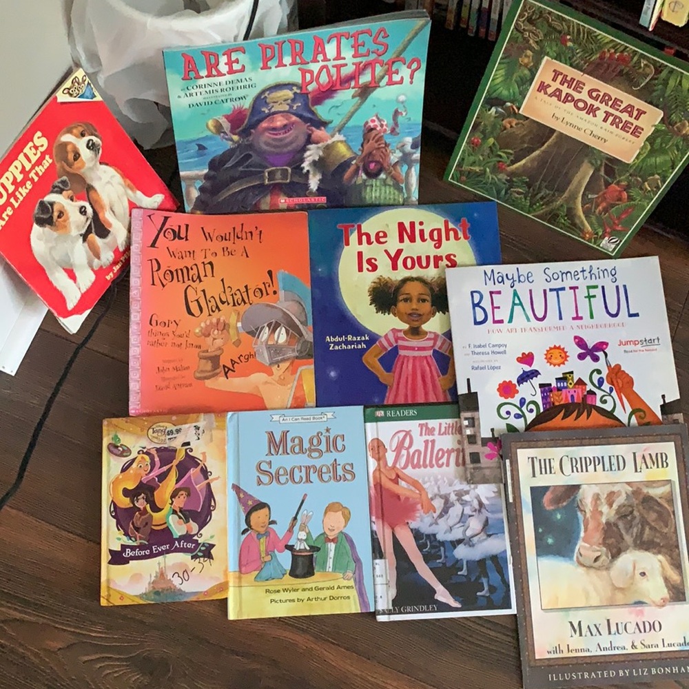 10 book bundle kids classroom homeschool books
